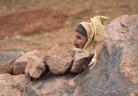 без име ( ID=2581954 ); Коментари:3