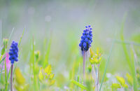 no name ( ID=2581955 ); comments:5