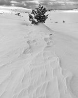 Vitosha '26; Коментари:3