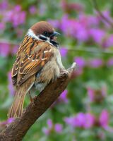 :); Коментари:4