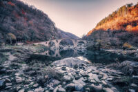 без име ( ID=2581975 ); Коментари:1