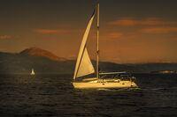 без име ( ID=2582015 ); Няма коментари