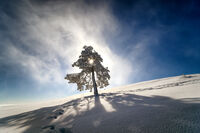 no name ( ID=2582016 ); comments:10