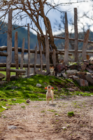 no name ( ID=2582021 ); comments:3