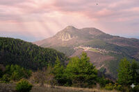 Розово сияние; Няма коментари