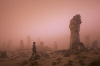 no name ( ID=2582045 ); comments:4