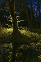 no name ( ID=2582060 ); comments:3