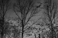 no name ( ID=2582075 ); comments:2