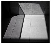 Back to the roots...; comments:14