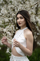 no name ( ID=2582102 ); comments:2