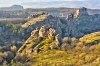 без име ( ID=2582105 ); Коментари:3