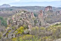 без име ( ID=2582108 ); Няма коментари