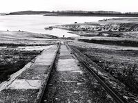 без име ( ID=2582112 ); Коментари:5