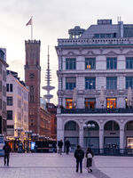 the towers and the city; comments:3