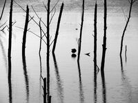 no name ( ID=2582122 ); comments:7