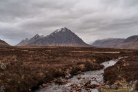 no name ( ID=2582133 ); comments:12