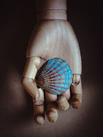 шепа лято; comments:1