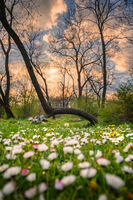 Пролет в парка; comments:2