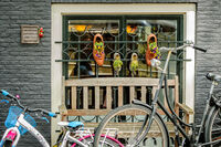 no name ( ID=2582175 ); comments:6