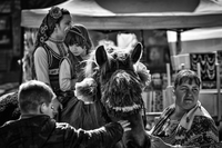 no name ( ID=2582178 ); comments:2