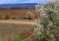 no name ( ID=2582234 ); comments:1