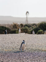 без име ( ID=2582249 ); Няма коментари