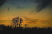 Огън; comments:3