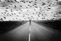 Тишина в движение; comments:3