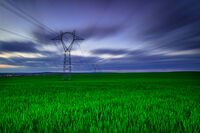 no name ( ID=2582302 ); comments:2