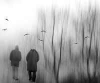 no name ( ID=2582314 ); comments:5