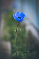 без име ( ID=2582357 ); Няма коментари