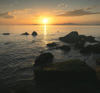 Бургаски плаж; Коментари:4