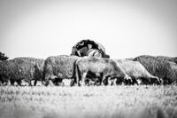 no name ( ID=2582371 ); comments:2