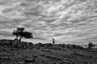 без име ( ID=2582375 ); Няма коментари