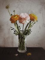 no name ( ID=2582416 ); comments:2