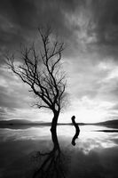 2; Коментари:3