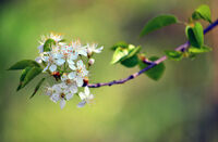 no name ( ID=2582435 ); comments:3