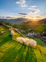 без име ( ID=2582450 ); Коментари:1