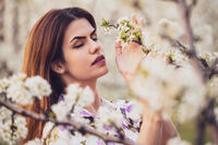 no name ( ID=2582452 ); No comments