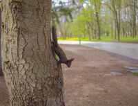 без име ( ID=2582463 ); Коментари:4