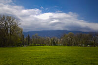 no name ( ID=2582464 ); No comments