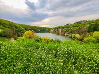 no name ( ID=2582470 ); comments:4