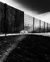 Where Nothing Happens; comments:7