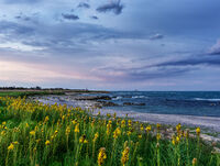 Шабла; Коментари:3