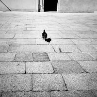 а сега накъде; comments:4