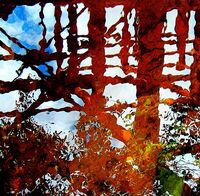 Отражението и неговия образ; comments:4