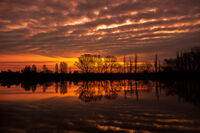 без име ( ID=2582521 ); Коментари:7