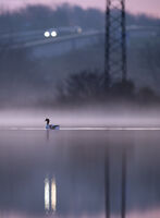 без име ( ID=2582532 ); Коментари:9