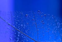 no name ( ID=2582542 ); comments:2