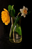 пролет; comments:2